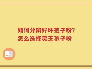 如何分辨好坏孢子粉？怎么选择灵芝孢子粉