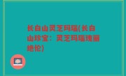 长白山灵芝玛瑙(长白山珍宝：灵芝玛瑙瑰丽绝伦)