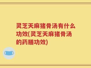 灵芝天麻猪骨汤有什么功效(灵芝天麻猪骨汤的药膳功效)