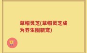 草帽灵芝(草帽灵芝成为养生圈新宠)