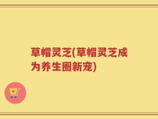 草帽灵芝(草帽灵芝成为养生圈新宠)