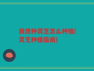 我想种灵芝怎么种植(灵芝种植指南)
