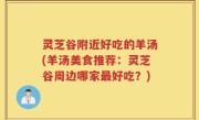 灵芝谷附近好吃的羊汤(羊汤美食推荐：灵芝谷周边哪家最好吃？)