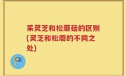 采灵芝和松蘑菇的区别(灵芝和松蘑的不同之处)