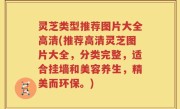 灵芝类型推荐图片大全高清(推荐高清灵芝图片大全，分类完整，适合挂墙和美容养生，精美而环保。)