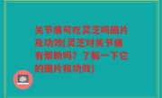 关节痛可吃灵芝吗图片及功效(灵芝对关节痛有帮助吗？了解一下它的图片和功效)
