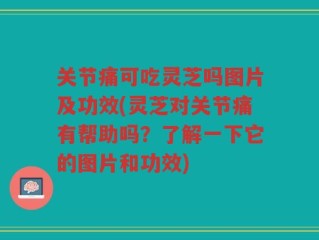 关节痛可吃灵芝吗图片及功效(灵芝对关节痛有帮助吗？了解一下它的图片和功效)