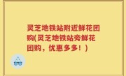 灵芝地铁站附近鲜花团购(灵芝地铁站旁鲜花团购，优惠多多！)