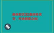 鹿肉和灵芝(鹿肉和灵芝：开启健康之旅)
