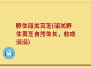 野生韶关灵芝(韶关野生灵芝自然生长，收成满满)