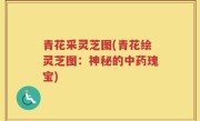 青花采灵芝图(青花绘灵芝图：神秘的中药瑰宝)