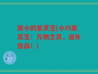 很小的紫灵芝(小巧紫灵芝：万物之灵，滋补佳品！)