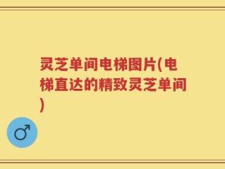 灵芝单间电梯图片(电梯直达的精致灵芝单间)