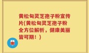 黄松甸灵芝孢子粉宣传片(黄松甸灵芝孢子粉全方位解析，健康美丽皆可期！)