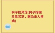 狗子挖灵芝(狗子挖掘珍贵灵芝，医治主人疾病)