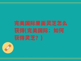 完美国际里面灵芝怎么获得(完美国际：如何获得灵芝？)