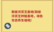 取柴河灵芝基地(取柴河灵芝种植基地，绿色生态养生福地)