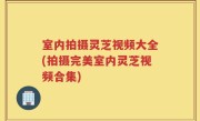 室内拍摄灵芝视频大全(拍摄完美室内灵芝视频合集)