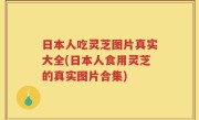 日本人吃灵芝图片真实大全(日本人食用灵芝的真实图片合集)