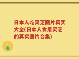 日本人吃灵芝图片真实大全(日本人食用灵芝的真实图片合集)