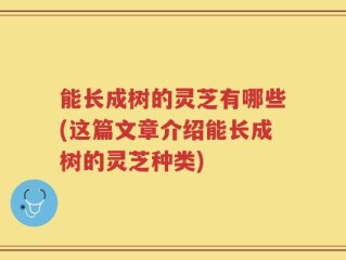 能长成树的灵芝有哪些(这篇文章介绍能长成树的灵芝种类)