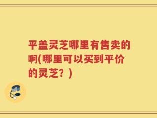 平盖灵芝哪里有售卖的啊(哪里可以买到平价的灵芝？)