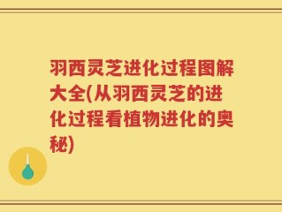 羽西灵芝进化过程图解大全(从羽西灵芝的进化过程看植物进化的奥秘)