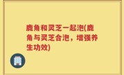 鹿角和灵芝一起泡(鹿角与灵芝合泡，增强养生功效)