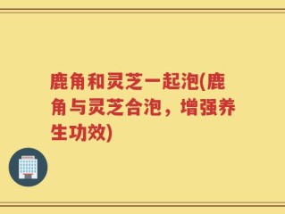 鹿角和灵芝一起泡(鹿角与灵芝合泡，增强养生功效)