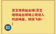 灵芝地铁站台球(灵芝地铁站台球场上现双人对战场面，球技飞快！)
