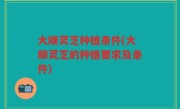 大顺灵芝种植条件(大顺灵芝的种植要求及条件)