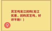 灵芝鸡龙江团购(龙江优惠，团购灵芝鸡，好评不断！)