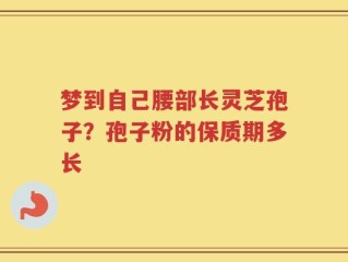 梦到自己腰部长灵芝孢子？孢子粉的保质期多长