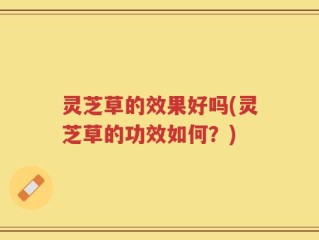 灵芝草的效果好吗(灵芝草的功效如何？)