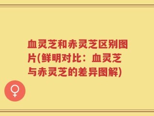 血灵芝和赤灵芝区别图片(鲜明对比：血灵芝与赤灵芝的差异图解)