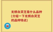 无柄白灵芝是什么品种(介绍一下无柄白灵芝的品种特点)