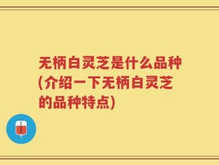 无柄白灵芝是什么品种(介绍一下无柄白灵芝的品种特点)