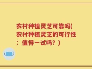 农村种植灵芝可靠吗(农村种植灵芝的可行性：值得一试吗？)