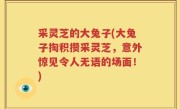 采灵芝的大兔子(大兔子掏积攒采灵芝，意外惊见令人无语的场面！)