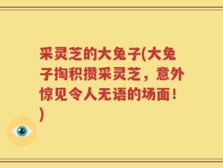 采灵芝的大兔子(大兔子掏积攒采灵芝，意外惊见令人无语的场面！)