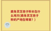 鹿角灵芝孢子粉长在什么地方(鹿角灵芝孢子粉的产地在哪里？)