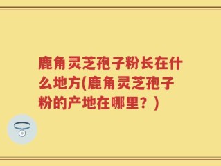 鹿角灵芝孢子粉长在什么地方(鹿角灵芝孢子粉的产地在哪里？)