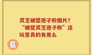 灵芝破壁孢孑粉图片？“破壁灵芝孢子粉”这玩意真的有用么