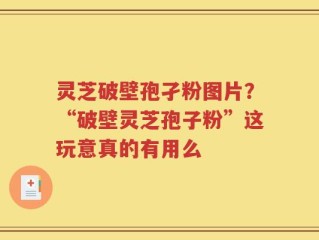 灵芝破壁孢孑粉图片？“破壁灵芝孢子粉”这玩意真的有用么