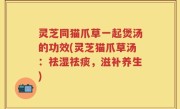 灵芝同猫爪草一起煲汤的功效(灵芝猫爪草汤：祛湿祛痰，滋补养生)