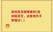 深圳灵芝租哪里好(深圳租灵芝，这些地方不容错过！)
