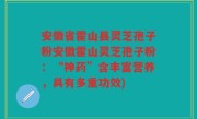 安徽省霍山县灵芝孢子粉安徽霍山灵芝孢子粉：“神药”含丰富营养，具有多重功效)