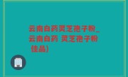 云南白药灵芝孢子粉_云南白药 灵芝孢子粉 佳品)