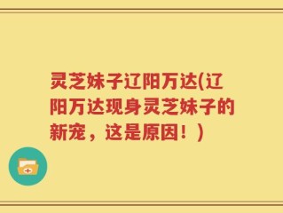 灵芝妹子辽阳万达(辽阳万达现身灵芝妹子的新宠，这是原因！)