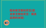 韶关紫芝整枝灵芝(韶关紫芝整枝灵芝：提高品质的关键)